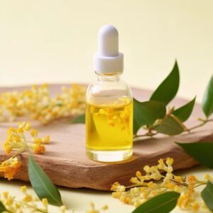 Aromatherapy Oils