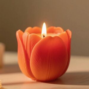 candle2